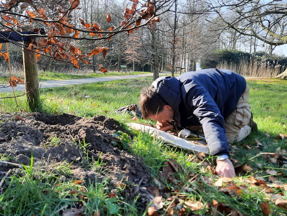 Wat zoeken kevers in mollennesten?