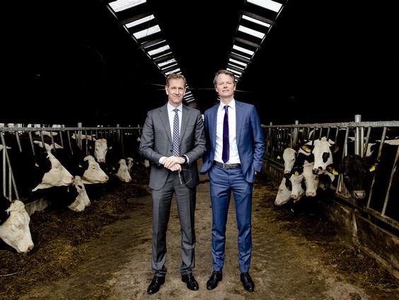 Is Rabobank verantwoordelijk voor de stikstofcrisis?