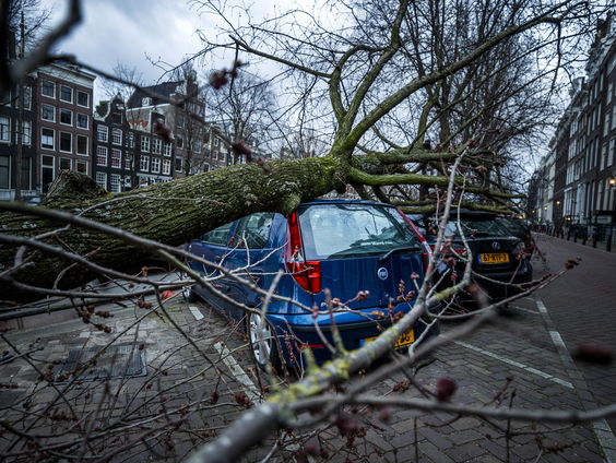 Verzekeraars aan zet na zes dagen stormgeweld