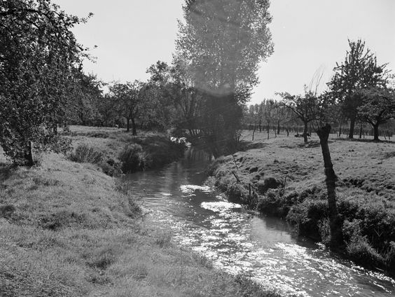 Het Spoor Terug: 'Mijn route volgt niet de paden' van Anton de Goede