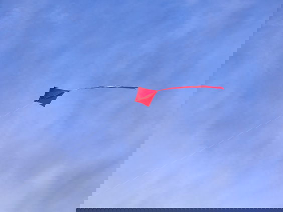 Wanneer ben je volwassen?