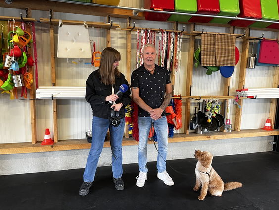 Hoe een hond het leven met PTSS makkelijker kan maken