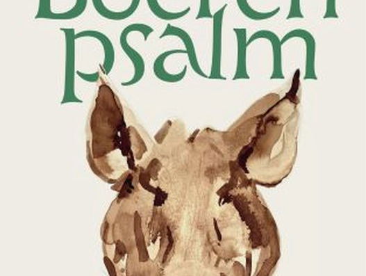 Taalschat: Bart van Loo over Boerenpsalm van Felix Timmermans