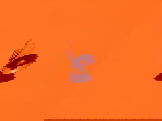 Kim Koumans ontvlucht huis. Hoe kunnen klokkenluiders beter beschermd worden?