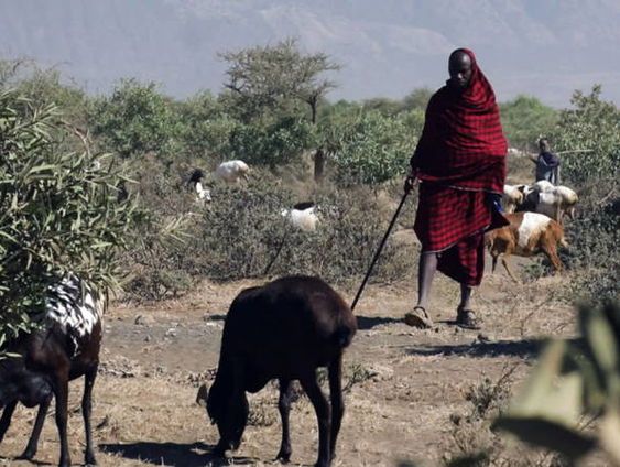Tanzania wil jagerstoerisme stimuleren
