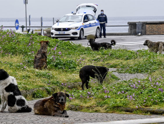 Buitenland Uitgelicht: Italië