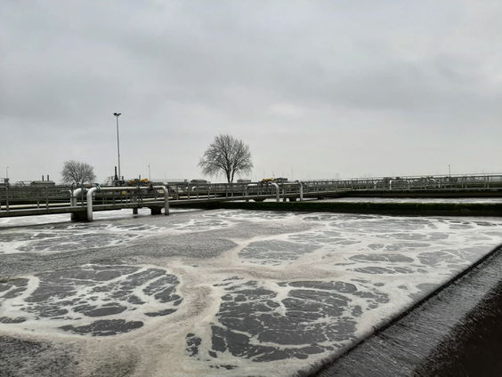 Rioolwater wordt bioplastic