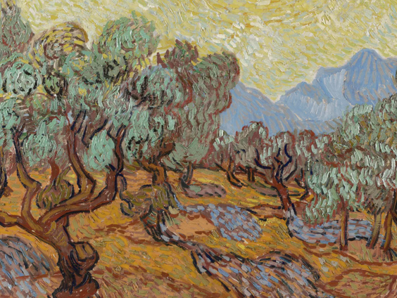 Verzameling olijfgaard-schilderijen Van Gogh te zien in nieuwe tentoonstelling