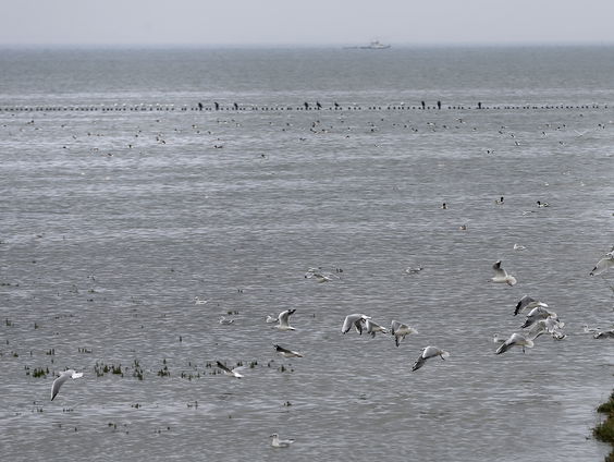 Waddeneilanden tegen plannen voor gaswinning