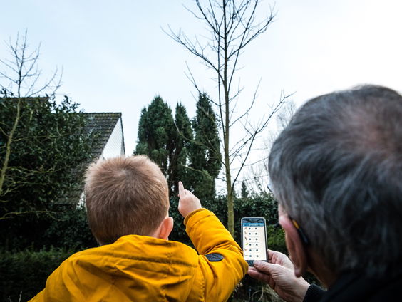 Nieuw boek over vogelen 'De soortenjager' van Remco Daalder