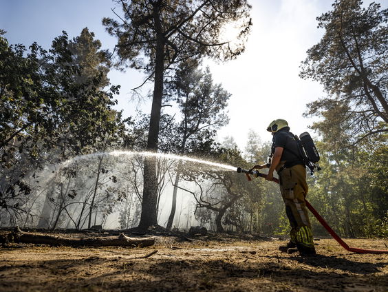 Oproep om door te pakken met klimaatmaatregelen in kranten