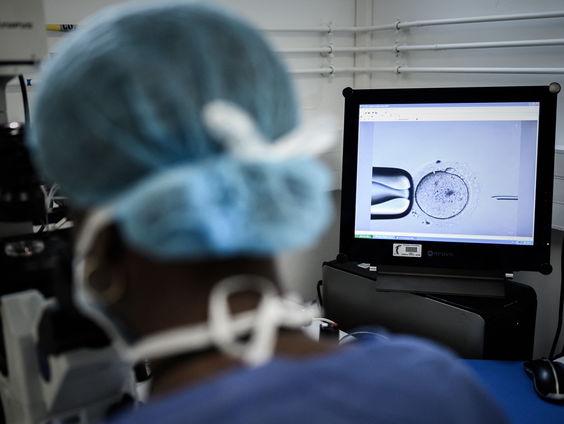 Gezondheidsraad wil embryowet verruimen