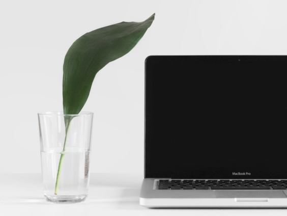 Twee extra vakantiedagen voor een treinreis. Hoe stimuleren werkgevers het personeel bij het maken van du ...