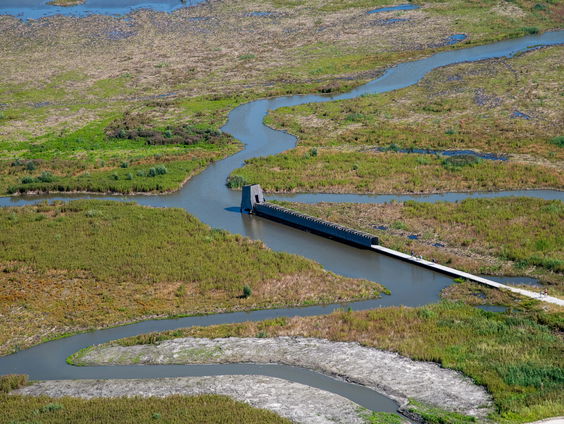 Biodiversiteit-onderhandelingen gaan te traag