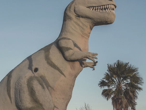 T. Rex raadsel opgelost?