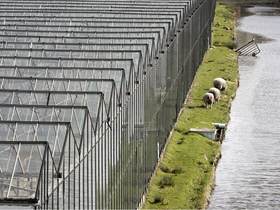 Zorgen in het Westland om hoge gasprijzen