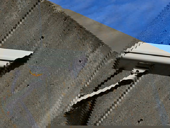 Ex-undercoveragent over zelfmoord collega: ‘Grote kloof tussen infiltranten en leidinggevenden’