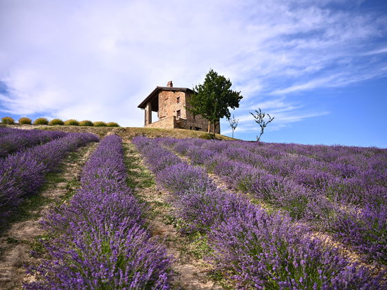 Geuren uit de natuur namaken, hoe doe je dat?