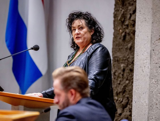 Is politiek bedrijven op basis van ‘gezond verstand’ een goed idee?