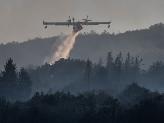 Bosbranden in Frankrijk
