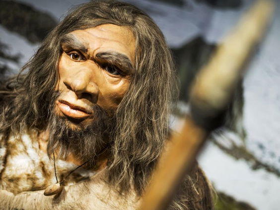 Neanderthaler verschalkte ook wel eens een bosolifantje