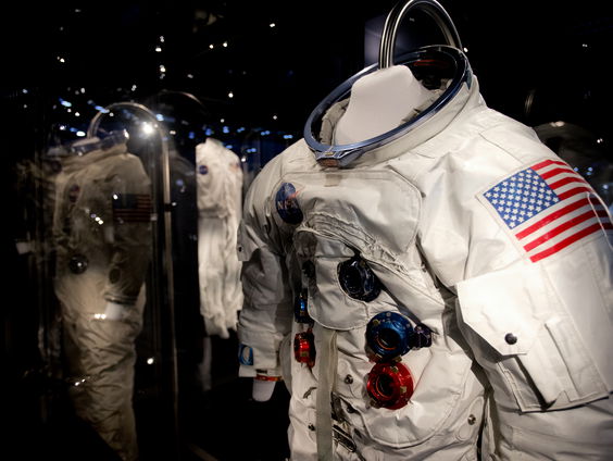 Dieren in de ruimte; van fruitvliegjes tot chimpansee