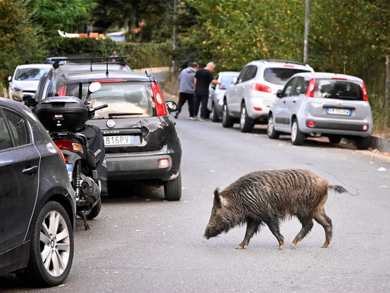 Buitenland Uitgelicht – Italië met Angelo van Schaik