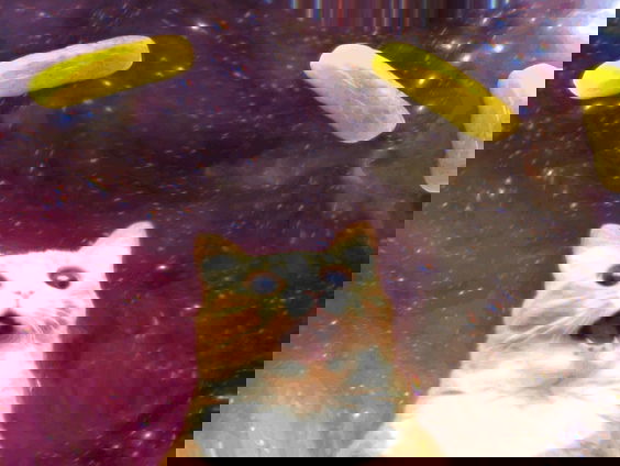 De bedenker van de gifjes, Stephen Wilhite is overleden