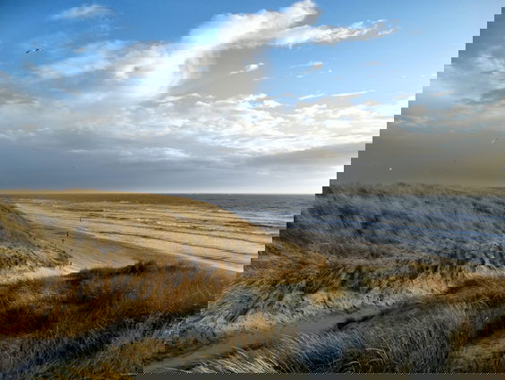 Plastic vervuiling in Nederlandse wateren blootgelegd door klokkenluider