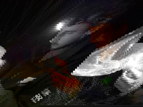 Waterspitsmuis leeft niet alleen in water