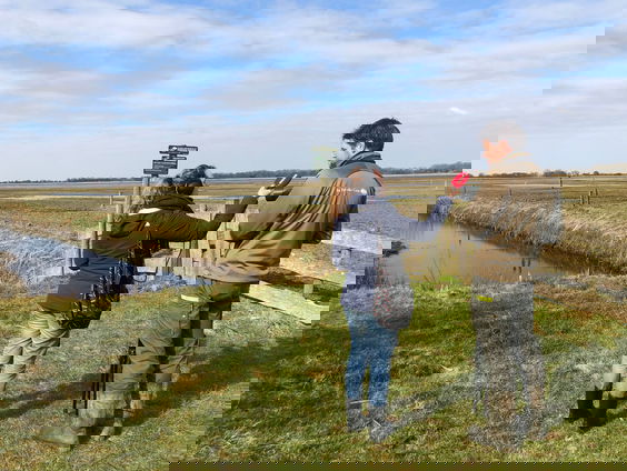 Natuurgebied De Grote Wielen verwelkomt de grutto!