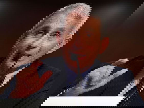 Virologen onder vuur