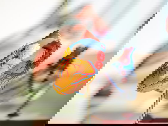 Terugblikken op de TedTalk van cardioloog Hariette Verwey