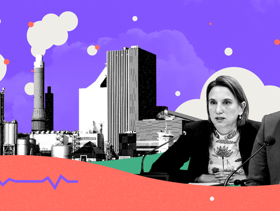 Hoe pakt de politiek de stikstofstijgers aan?