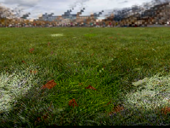 Nieuwe grasmat Museumplein