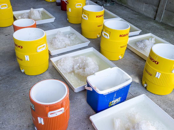 Kabinet trekt portemonnee om jongeren uit drugscriminaliteit te houden