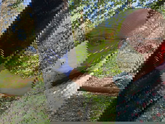 Nieuwe kwaal in onze bomen