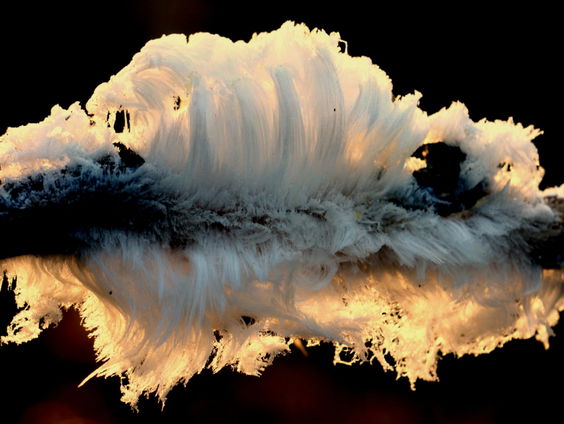 Fenolijn 19 december 2021