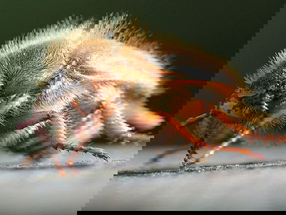 Fenolijn 3 juli 2022