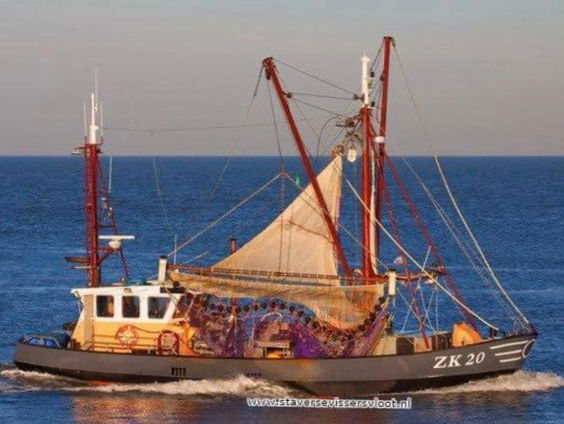 Garnalenvisser wordt geraakt door regelgeving. 'Veel vissers stoppen'