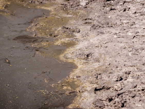 Droogte zet archeologen aan het werk