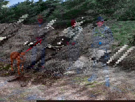 Groene boa’s willen betere wapenuitrusting