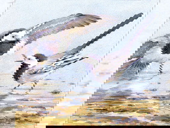 Mirjam Wiskerke wint Frater Willibrordus Prijs 2022