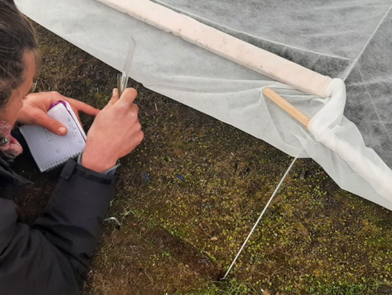 Wakkere Wetenschapper: Mo Verhoeven vanuit Spitsbergen over zijn onderzoek naar Arctische trekvogels