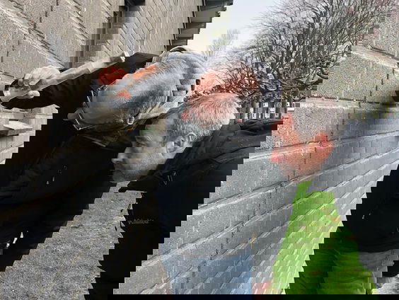 Nepschoorstenen voor de vleermuis