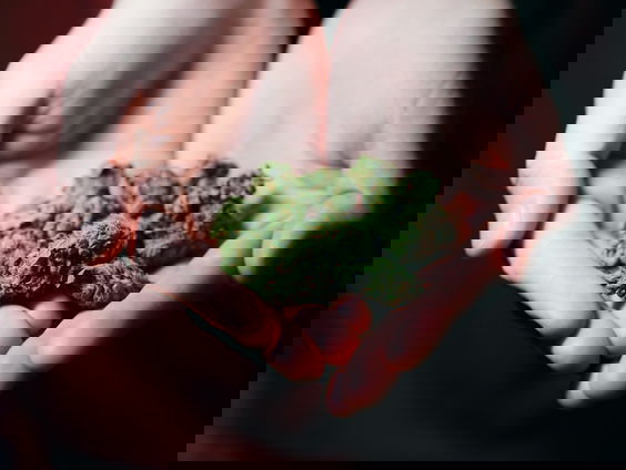 Cannabis voor kinderen met epilepsie