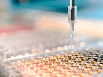 Neurologen: 'Geef MS-patiënten in Nederland stamceltherapie'