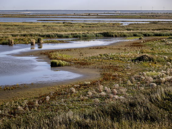 Wat moeten we doen om water beter vast te houden?