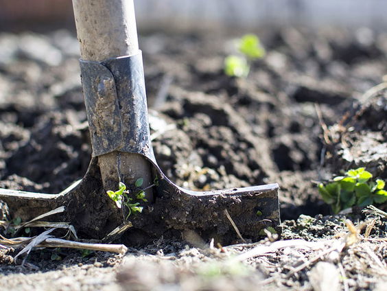Landbouw op de schop