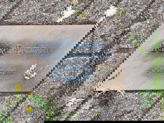 Bezoek overlijdensplek Pim Fortuyn: 'het voelt als geschiedenis'